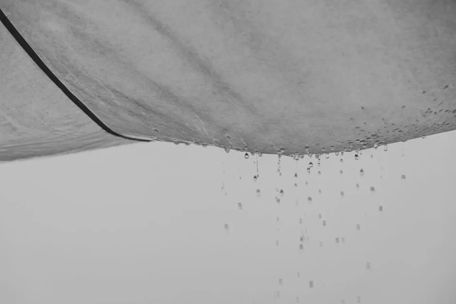 Benefits of Water Heater Tank Repair in Springfield